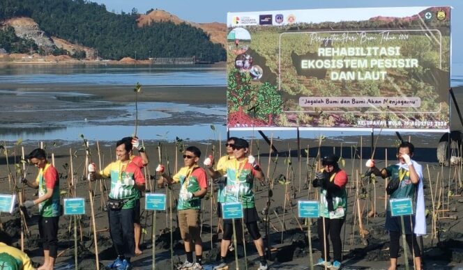 
 Peringati HUT RI, PT Ceria Gelar Green Fun Run 5K dan Penanaman Mangrove