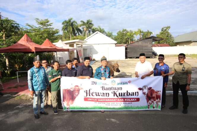 
 ANTAM UBPN Kolaka Berbagi di Hari Raya, Salurkan Bantuan 15 Ekor Sapi Kurban