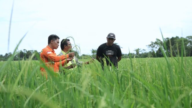 
 Livelihood Restoration Program PT Vale di Pomalaa Membangun Masa Depan Berkelanjutan melalui Peningkatan Taraf Hidup Masyarakat