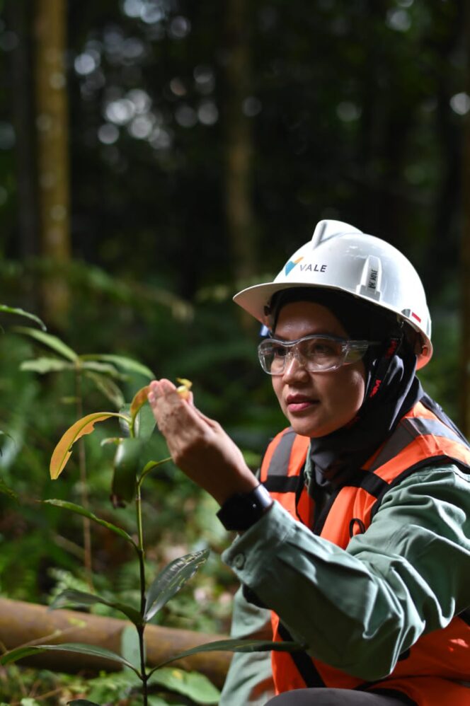 
 Komitmen pada Keberlanjutan, PT Vale Hijaukan Area Bekas Tambang
