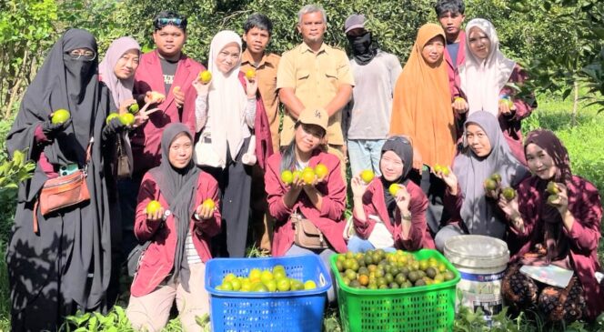 
 Mahasiswa KKN USN Kolaka Promosikan Jeruk Manis Ranosangia
