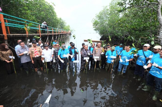 
 VALE Tanam 2.000 Mangrove dan Restorasi Terumbu Karang untuk Pulihkan Ekosistem Pesisir Malili