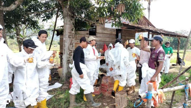 
 Komitmen Nyata PT Vale: Kolaborasi dengan Pemda Luwu Timur Turunkan Tim Identifikasi di Towuti