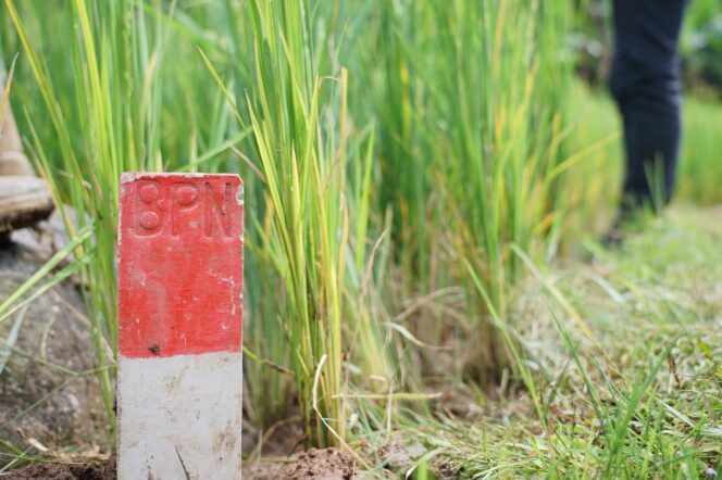 
 Kurangi Masalah Batas Tanah, Menteri Nusron Imbau Masyarakat Pasang Patok Permanen