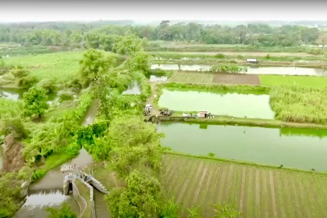 
 Kampung Reforma Agraria Bukit Sinyonya Jadi Ruang Kreatif dan Penggerak Ekonomi Masyarakat Desa Bandung