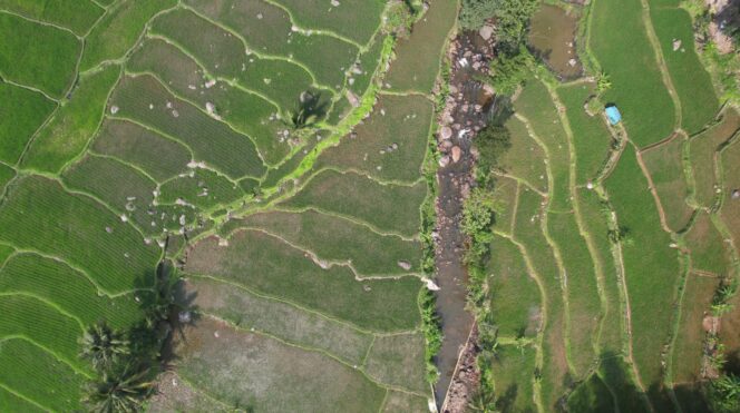 
 Pembangunan Harus Berkeadilan, Menteri Nusron: Reforma Agraria Jawab Ketimpangan Penguasaan dan Pemilikan Tanah