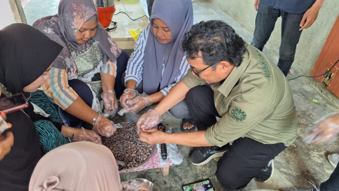
 PT Vale IGP Pomalaa Fasilitasi Petani Silea Kelola Produk Kakao