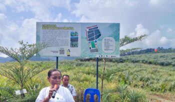 Kepala Desa Tabarano, Rimal Manuk Allo