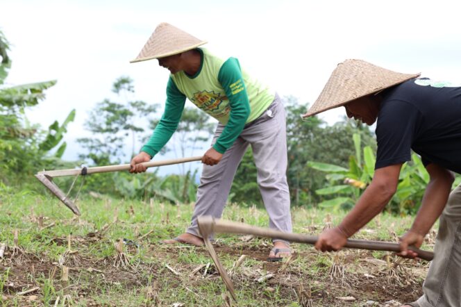 
 Konflik Belasan Tahun Berakhir, Sertipikat Redistribusi Tanah Buka Jalan Pemulihan Ekonomi Desa Soso