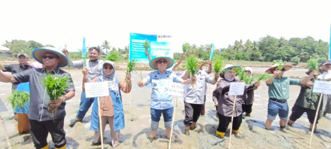 
 Bupati Amri, Program Pertanian Organik PT Vale di Puubunga Bisa Jadi Role Model Pertambangan Berkelanjutan