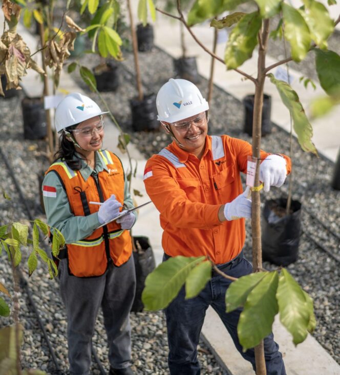
 RKAB 2026 Disetujui, PT Vale Indonesia Tegaskan Kepastian Operasional dan Keberlanjutan Investasi