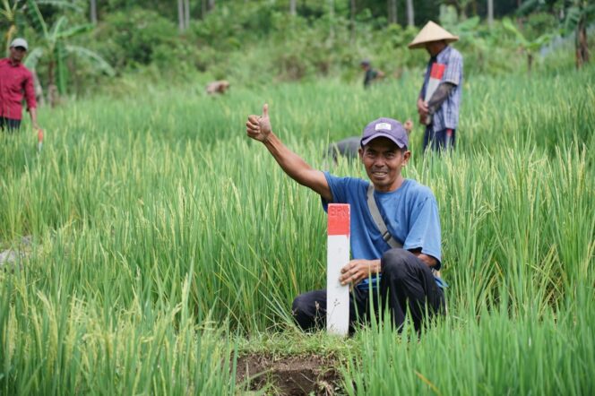 
 Mudik ke Kampung Halaman? Jaga Batas Tanah sebagai Langkah Awal Cegah Konflik Antartetangga