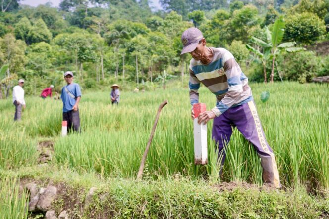 
 Pasang Patok, Cara Sederhana Cegah Sengketa Tanah dengan Tetangga