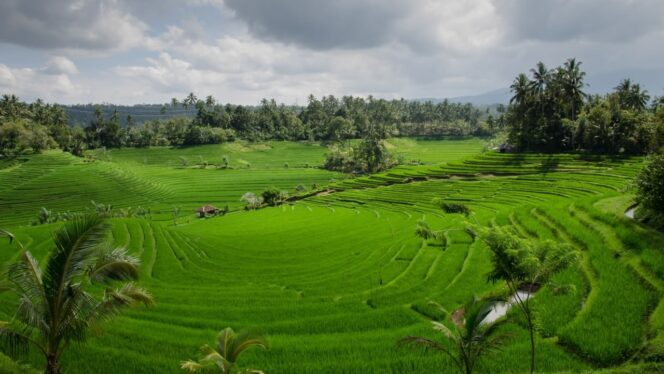 
 Lampaui Target, LP2B Capai 87,63% di Momen Peringatan 66 Tahun UUPA