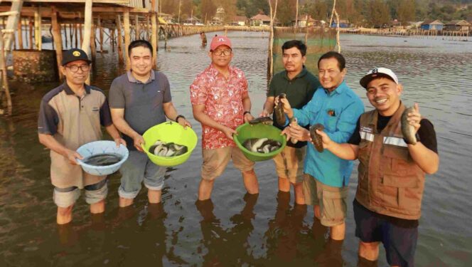 
 ANTAM Dorong Tambea Kembali Jadi Sentra Teripang, Panen Kedua Capai 12 Ribu Ekor